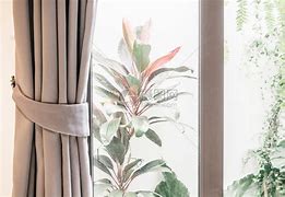 窗口期突围战来临，上海申花围绕NBA总决赛篮板制胜，信心回归，训练强度明显提升